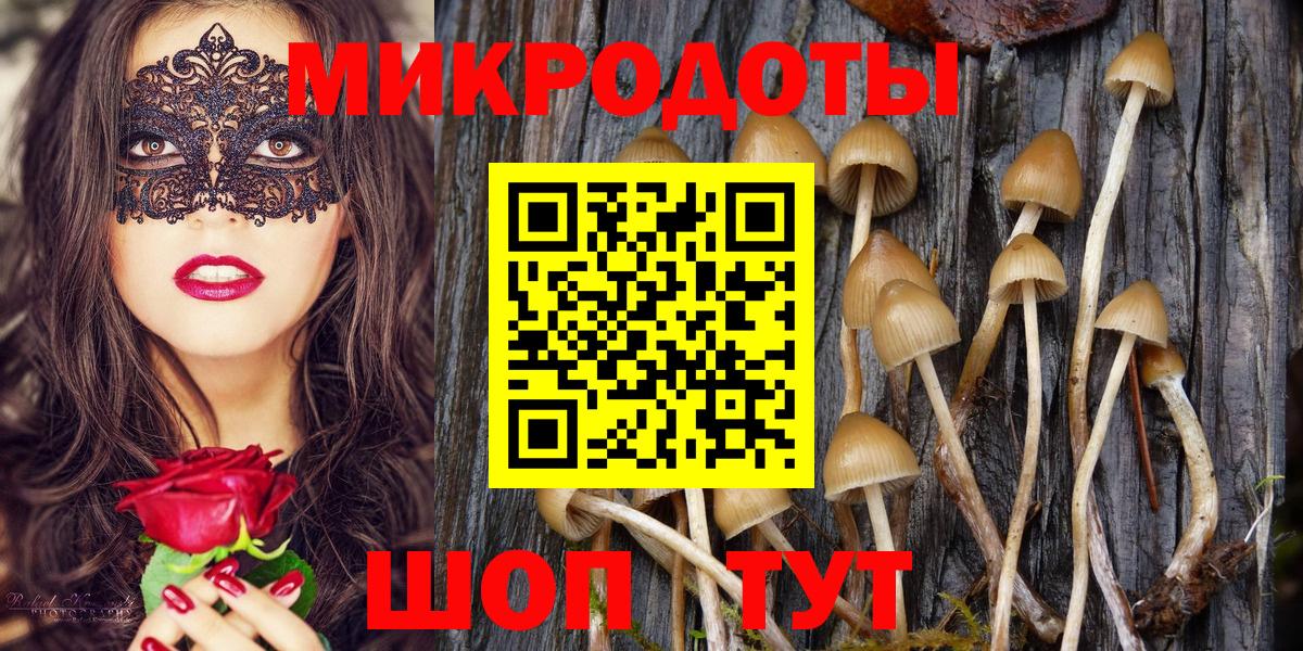 Галлюциногенные грибы Cubensis Воркута